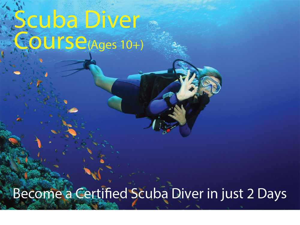 DIVING & SNORKELING