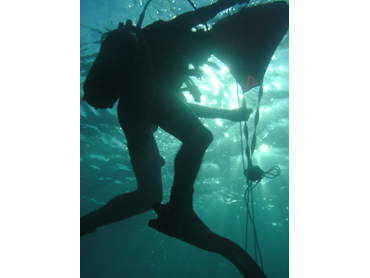 setting diver below sign